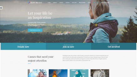 Beautiful Charity, Nonprofit & Fundraising WordPress Themes