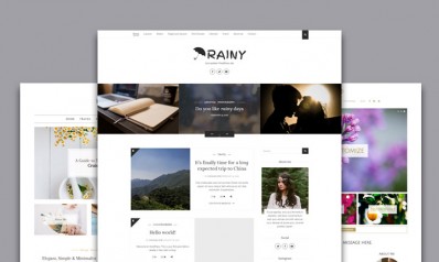 25+ Amazing Feminine & Lifestyle WordPress Themes