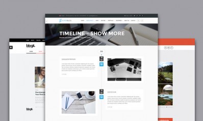15+ Best WordPress Timeline Themes