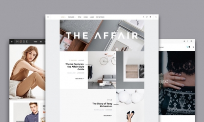 Best Minimalism WordPress Themes with Unique Design