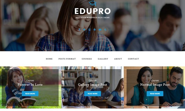 EduPro WordPress theme