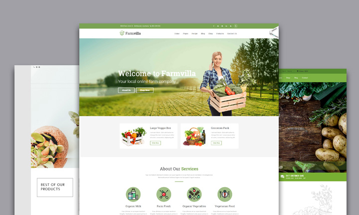 35+ WordPress WooCommerce Themes for Organic Food or Eco Product Shop