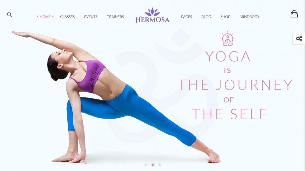 20+ Beautiful WordPress themes for Yoga, Pilates or Dance Web Site