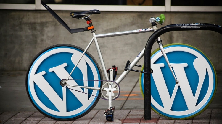 3 Basic Requirements that Makes a Good WordPress Site